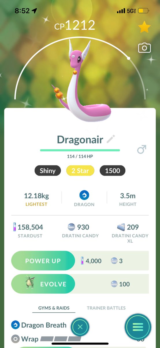 WickedSinful93's tweet photo. Week is absolutely made! I’ve been trying to find shiny dratini for soooo long. During spotlight hour I caught 2 within minutes of each other. Evolved one fully and kept one as dragonair! 
                  #PokemonGO 
✨✨✨ #ShinyPokemon ✨✨✨ https://t.co/LzOxlZmo4l
