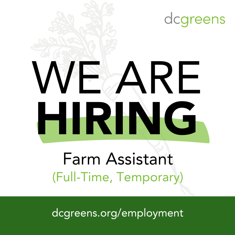 📢 Heads-up! We're hiring! DC Greens is seeking a full-time, temporary (April through October) Farm Assistant 🌱 to be part of our amazing farm team at @Ward8WELL. Are you interested? Then apply today >> dcgreens.org/employment #DCGreens #JobAlert #Ward8Well