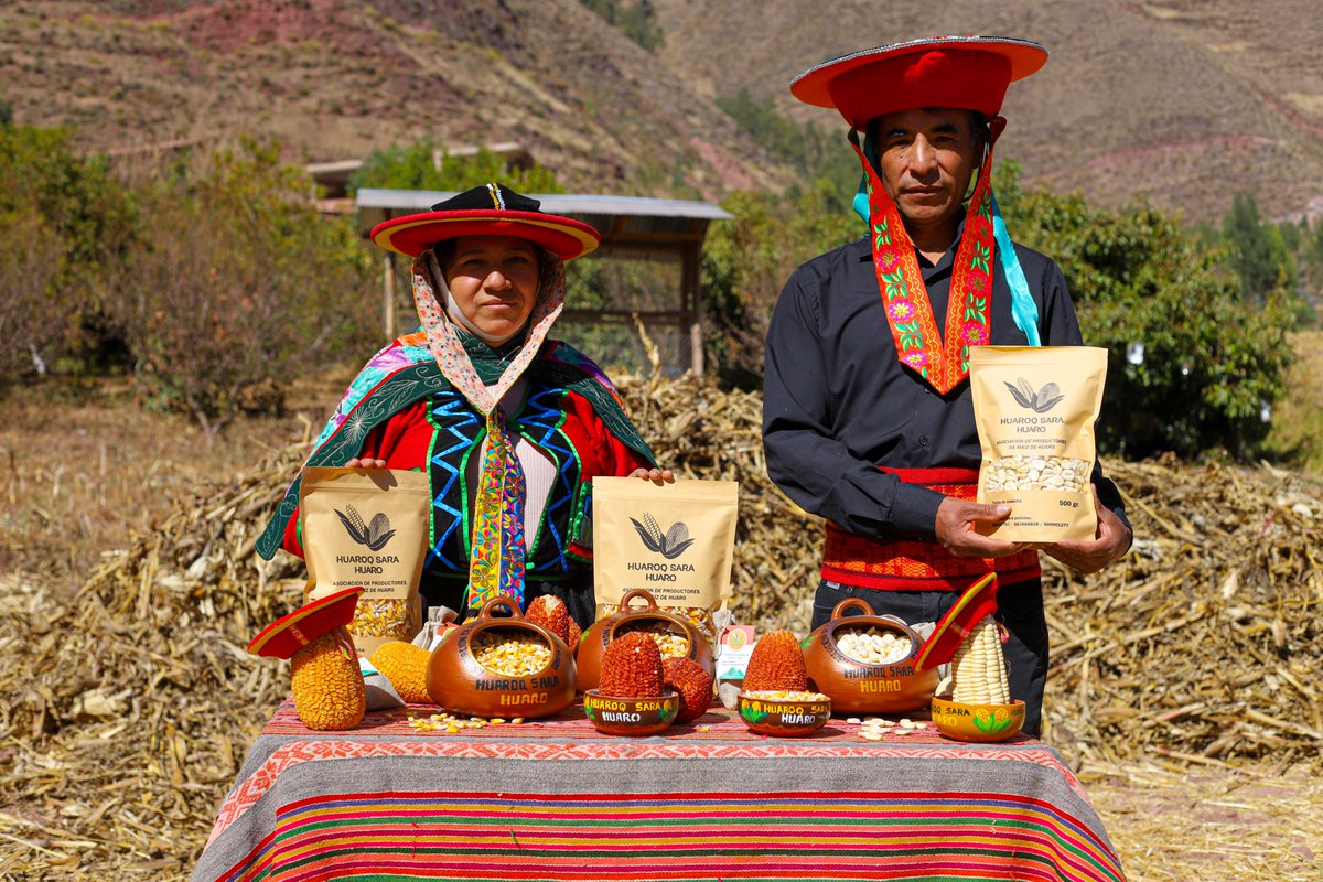 achperu's tweet photo. 🙌Este 2024 Acción contra el
Hambre continuará #trabajando de la mano con🤝
@CODESPA y la Asociación de productores de maíz de
Huaro para ampliar el mercado de sus productos a
través de la Plataforma #Work4Progress de la
@FundlaCaixa https://t.co/QlHlJkj3l3