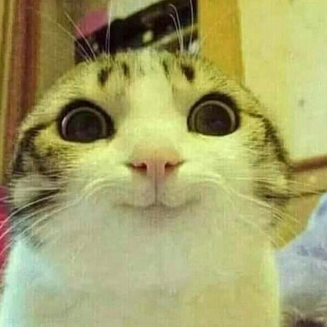 OtherLenLen's tweet photo. @lollatam @LukwerX @YukiYumeArt Gran video, muy serio 10 de 10 más explicaciones así de bellas 🩷🩷🩷 https://t.co/pwi144feJN