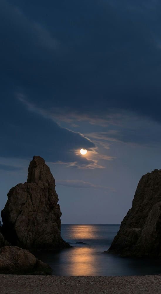 MOON tweet media