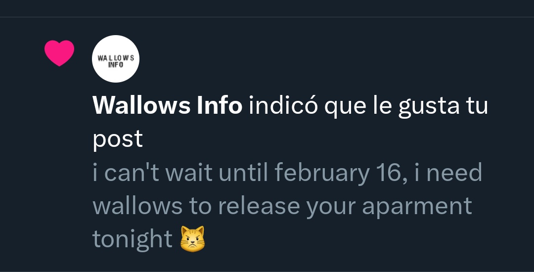 camotee❕️★° tweet media