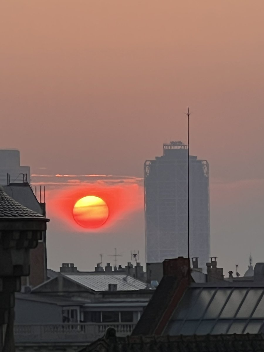 Judith Anton tweet media