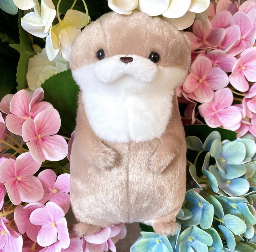 BySeoulfaith's tweet photo. CHANDAL - DINO DOLL (Batch 1) 🦦 [ph go | wts lfb]

CHANDAL - ₱800
CHANDAL FISH - ₱850

Accessories available too! 💓

Please take note that we are only accepting orders for 11cm sized Chandal.

Order here:
🛒https://t.co/RNuIMFNkqF

💌DOO: Feb 20
✨DOP: Feb 25 https://t.co/Zw44TouR5M