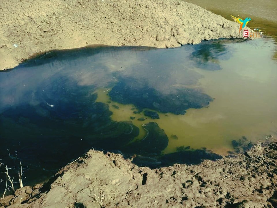 Breaking Now: 7 Feb 2024

Oil Spill on Iril River. 

Oil spill has been reported in Iril river that flows through Imphal East and originates from the hills ...
The source of this spill is not yet confirmed ... 
However, recently there was another spill originating from Leimakhong