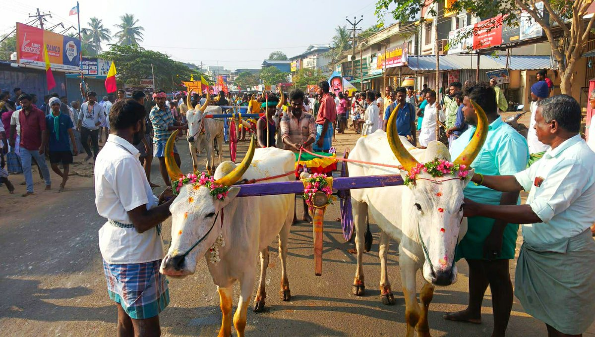 KKSelvakumaroff's tweet photo. புதுக்கோட்டை மாவட்டம் மணமேல்குடி வீர முத்தரையர் முன்னேற்ற சங்கத்தினர் ஏற்பாடு செய்திருந்த முதலாம் ஆண்டு மாபெரும் மாட்டுவண்டி எல்கைப் பந்தயத்தை துவக்கி வைத்து கலந்து கொண்ட மகிழ்மிகு நிகழ்வுகள்!... https://t.co/tNT07iU4Yg
