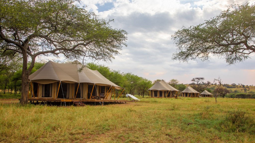 Discover Regenerative Hotels in Kenya, Egypt, South Africa and Tanzania.

Join the virtual showcase on 8 Feb, 06:00 PM - 07:30 PM (EAT) organized by Regenerative Travel.

Register here - regenerativetravel.com/trade-showcase…

📷 of Cherero Camp #regenerativetourism #Africa
