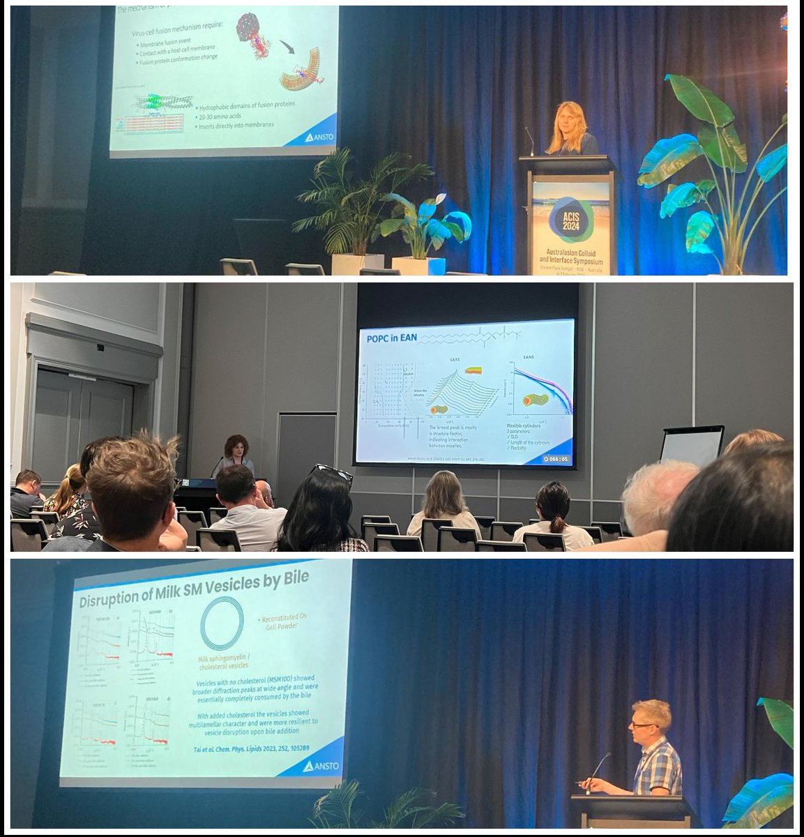 Izabela Miłogrodzka (@iza_milogrodzka) on Twitter photo Excited to be presenting our research at <a href="/ANSTO/">ANSTO</a> facilities for the <a href="/Colloids_AusNZ/">Australasian Colloids and Interface Society</a> Conference 2024! 🇦🇺 #ACIS2024 #scattering #saxsteam #terrigal <a href="/ausynchrotron/">Australian Synchrotron</a> #SAXS #BILBY #SPATZ Excited to be presenting our research at <a href="/ANSTO/">ANSTO</a> facilities for the <a href="/Colloids_AusNZ/">Australasian Colloids and Interface Society</a> Conference 2024! 🇦🇺 #ACIS2024 #scattering #saxsteam #terrigal <a href="/ausynchrotron/">Australian Synchrotron</a> #SAXS #BILBY #SPATZ