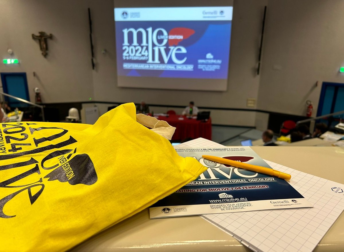 ElenaSerrano91's tweet photo. Equipazo de españoles aprendiendo y participando estos días en #WaitingforMioLive y #Miolive!
Gracias @SERVEISoc https://t.co/TfB8gmRoFQ