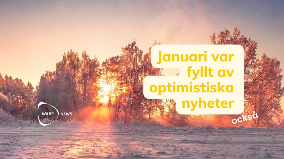 MathiasSundin's tweet image. 💡 29 faktabaserade optimistiska nyheter från januari

📉 Färre dog i krig 2023 jämfört med 2022

⚡ Förnybar energi ökade globalt med 50 procent under 2023

📉 Färre dödade journalister än på 20 år

📉 Betydande minskning av fattigdom i USA, enligt ny rapport

🥩 Världens första…