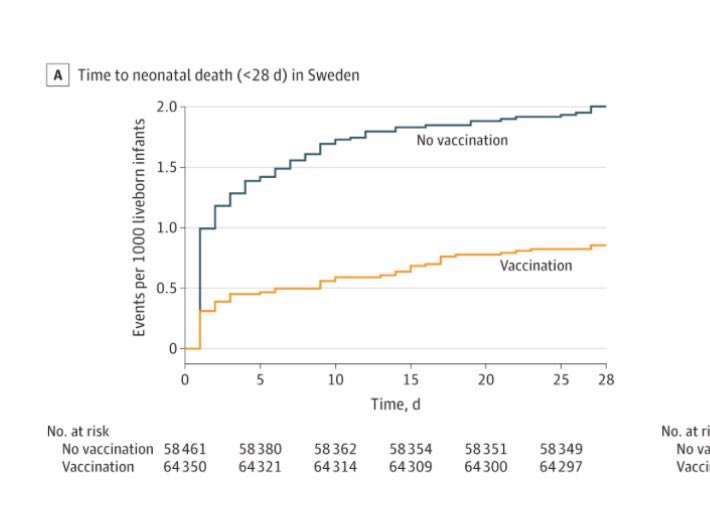 🇸🇪 🇳🇴 196,470 babies, of whom 94,303 born following #CovidVaccination in #pregnancy

👶🏻 Vaccinated group less likely to die, or have a brain bleed or brain injury due to low oxygen

👶🏼 No difference in inflammatory conditions, including myocarditis

1/

jamanetwork.com/journals/jama/…