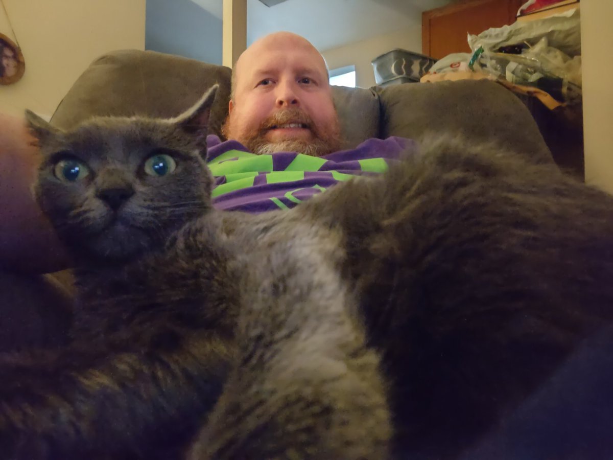 JakeDigman's tweet image. #CatsOnTwitter #babyblu