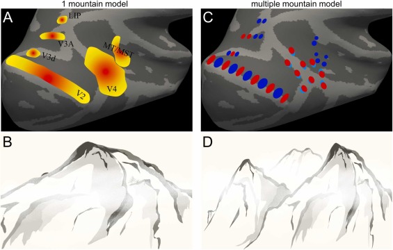htanig_en's tweet photo. Our new research, which I co-authored, has been published! / Mesoscale organization of ventral and dorsal visual pathways in macaque monkey revealed by 7T fMRI - Progress in Neurobiology
https://t.co/mIXPLzALlm https://t.co/zBiedEM2xr