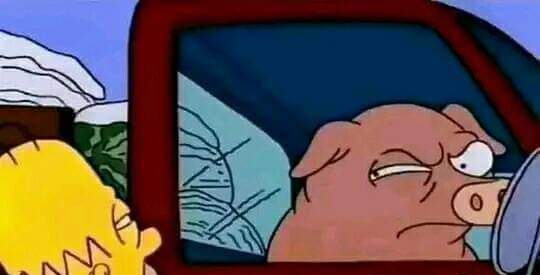 ⠀⠀⠀଼⠀⠀،⠀⠀dormin𓂃✩⠀.⠀⠀ Alpaca ...