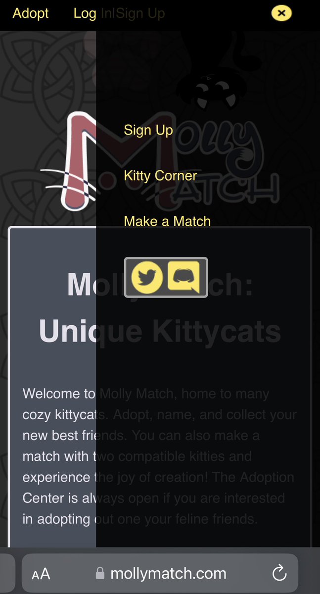 Molly Match tweet media