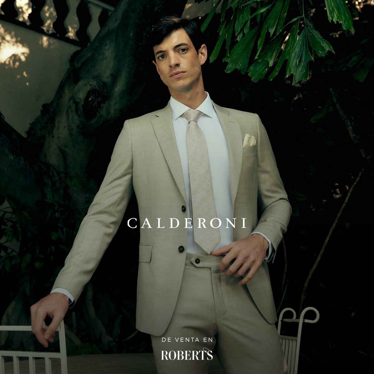 Robert's tweet media