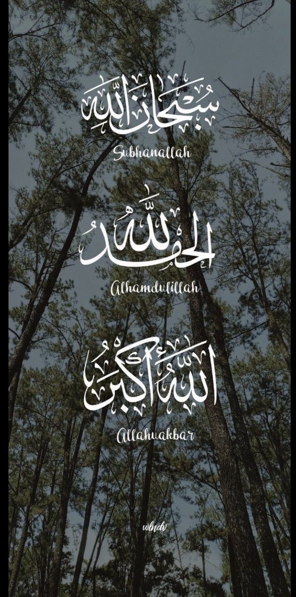 Good morning! 

Subah bakhair! May your day be adorned with slaaam, serenity, and splendid moments. Embrace the peace that surrounds you.
❤️❤️❤️