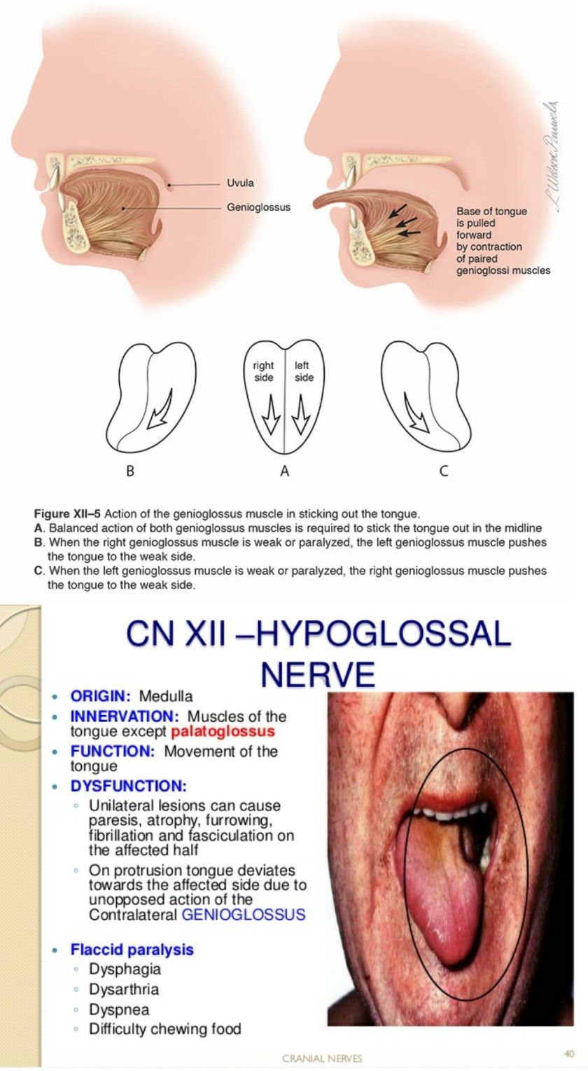 Dr Parveen Yograj on X: "@Sthanu5 #MedTwitter #MedEd #MedX ...