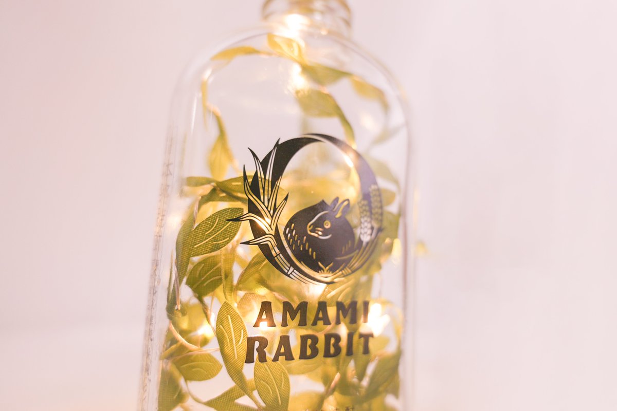 kaiun_lento's tweet photo. \AMAMI RABBIT空瓶活用/
今回は「AMAMI RABBIT」の空瓶を活用して花瓶、ディフューザーなど作ってみました。
皆さんはどんな活用方法が思いつきますか?コメント欄で教えてください✨
▽AMAMI RABBITの詳細はこちら▽
https://t.co/bIlbPkglqe
#AMAMIRABBIT #世界自然遺産登録 #空き瓶 https://t.co/gsczKs0wGf