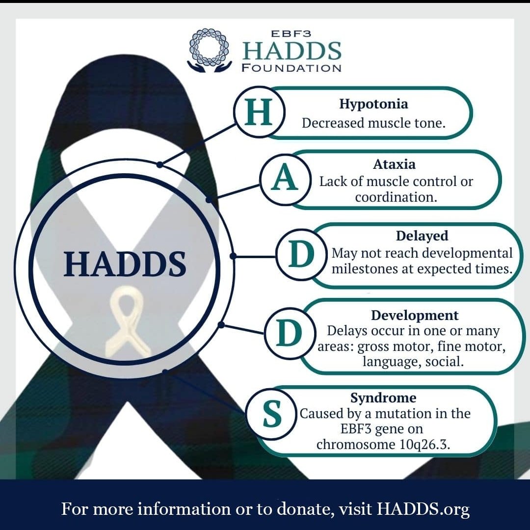Hsiao-Tuan Chao (赵孝端), MD PhD (@htchaolab) on Twitter photo Celebrating #EBF3 HADDS Awareness month! Grateful for the generous collaboration & support from the family community & <a href="/HADDSFoundation/">EBF3 HADDS Foundation</a> to advance research. In February, join us in raising awareness for EBF3 conditions, such as HADDS, 10q26-deletion syndrome, ataxia, & autism. Celebrating #EBF3 HADDS Awareness month! Grateful for the generous collaboration & support from the family community & <a href="/HADDSFoundation/">EBF3 HADDS Foundation</a> to advance research. In February, join us in raising awareness for EBF3 conditions, such as HADDS, 10q26-deletion syndrome, ataxia, & autism.