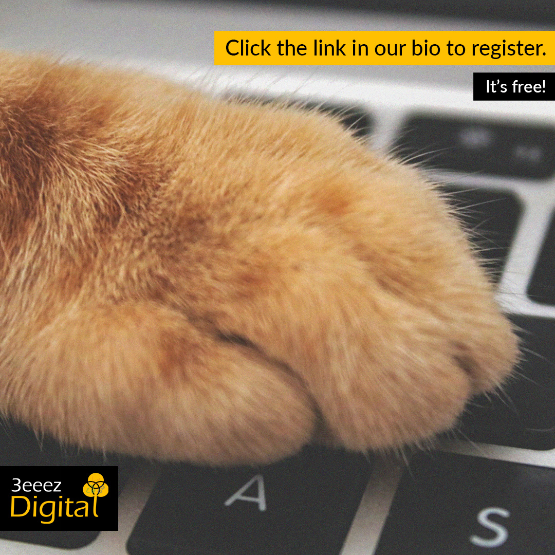 3eeezdigital's tweet photo. Pawsome news alert! 🐾 Join now for tech insights, marketing leads, and social media trends! Stay ahead of the curve with timely updates, expert insights, and exclusive content. 

#DigitalMarketing #TechTrends #SocialMedia #3eeezDigital https://t.co/oHuF6USzQP