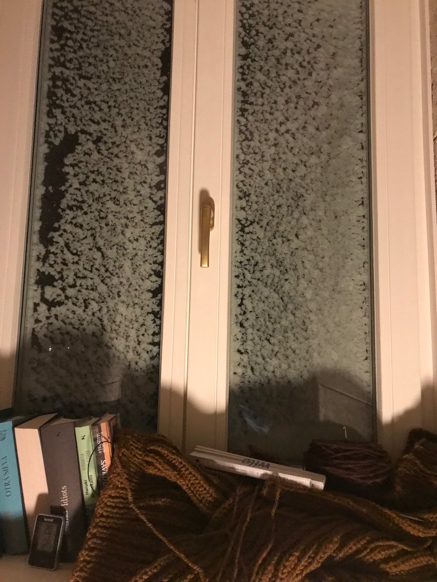 Piekrastes februāra putenis viss tieši logā.