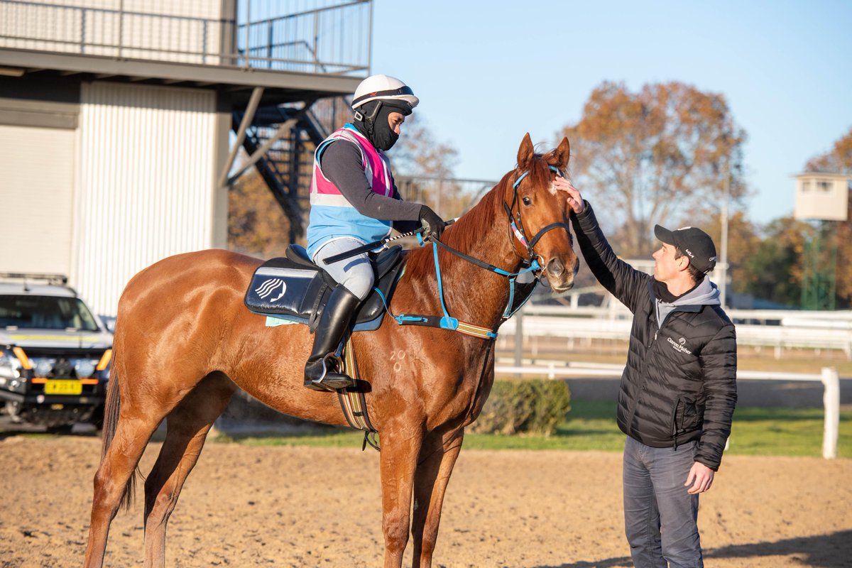 Justify filly Reasonable is aiming up at the Canterbury Night Races on the 16th <a href="/aus_turf_club/">Australian Turf Club</a> . Who's going to be on track to see her return? 
Last shares are still available from $125 if you want to commit with an owner's ticket on the night!  💸🏆