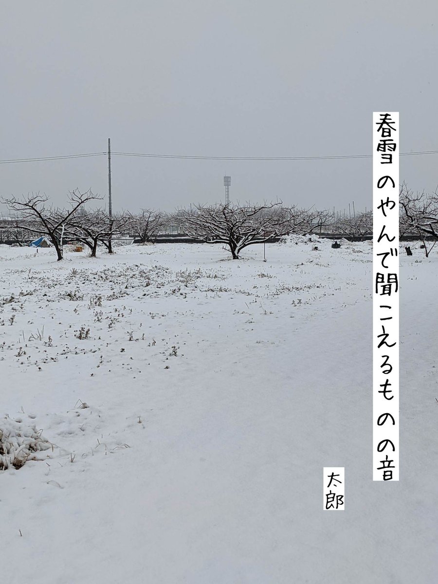 yokunugi's tweet photo. 春雪のやんで聞こえるものの音
#俳句 #写真俳句 #フォト俳句 #春雪 #ものの音 #甲府盆地 #連句は超楽しい #アルプス連句会
spring snow
stopped falling followed by
sounds of things
#haiku #fotohaiku #springsnow #soundsofthings https://t.co/Emc7oTmTLl
