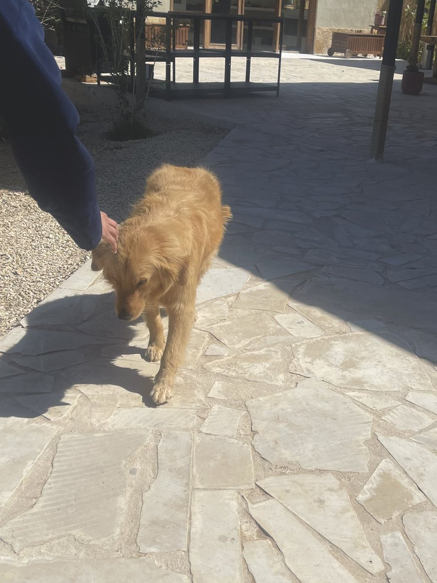 Manar (@manar_alwsaidi) on Twitter photo 