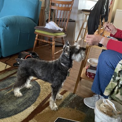 FREDFOR40302185's tweet photo. #NewProfilePic https://t.co/PIdZiPuTf3