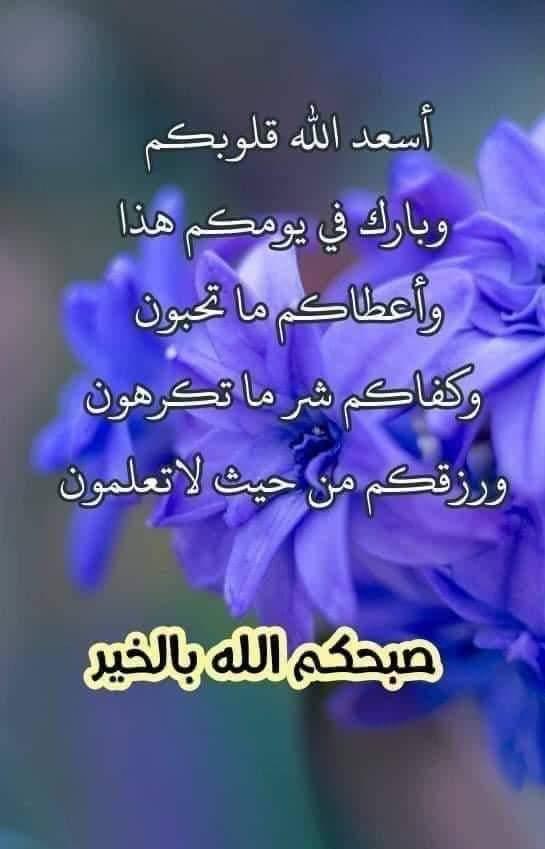 <a href="/Shereen_Kaseeba/">Shereen.Kaseeba</a> @Mirnaabdulaziz0 <a href="/zhabib185/">SIR Z 𓆎 𓅓𓏏 𓊖🇪🇬</a>