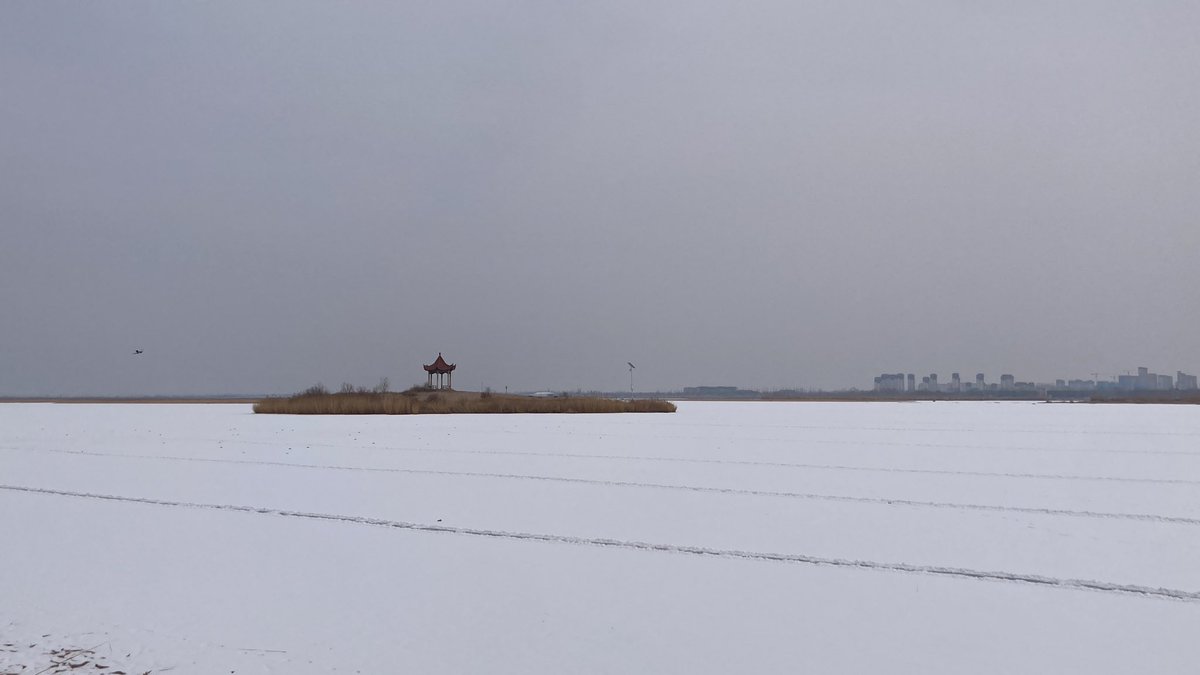 peerchin's tweet photo. 冰天雪地，好冷 https://t.co/RpPomgIpW8