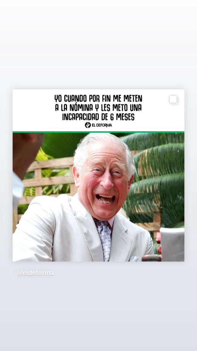 SolteraEnElPais's tweet image. El @eldeforma es del Ponchairo o yo entendí mal? 

#SeasMamon #LosAmo