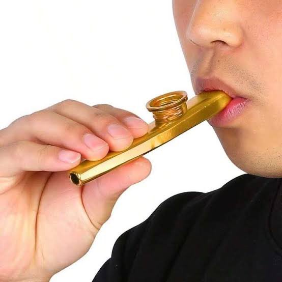AgathaLandowski's tweet photo. @MeeeeeHappyG @RemingtonLeith That’s a kazoo. https://t.co/QlAne4mYCU