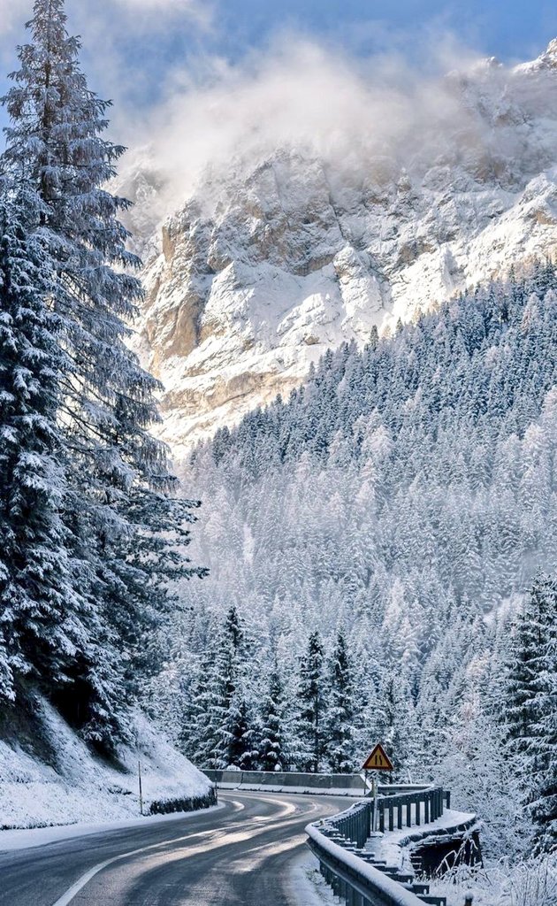 TLeoni311's tweet image. Good morning ❄️❄️