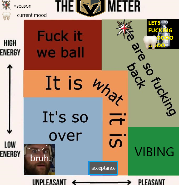 Shea Theodore's missing tooth 🦷 tweet media