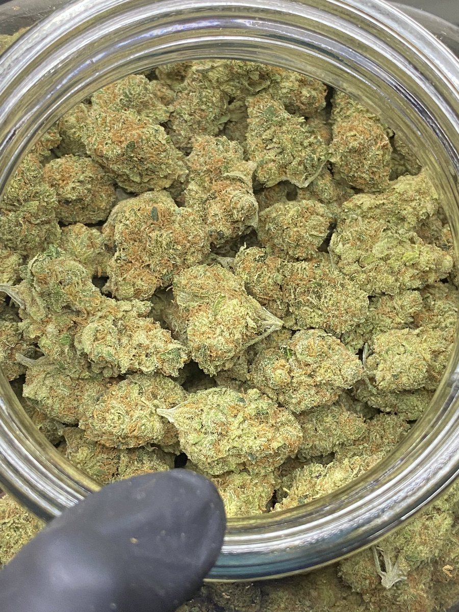 lawweedd's tweet photo. 💖 Shogun 💖
10g 800 | 50g 3,500 | 1kg 55,000
#CannabisCommunity #cannabisgrower #cannabisindustry #cannabisnews #weedlife #WeedLovers #420community #420friendly #กัญชาog #กัญชากทม #กัญชากรุงเทพ #กัญชานอก #กัญชาพัทยา #กัญชาราคาถูก #กัญชาเชียงใหม่ #smoke #StonerFam #บางกะปิ https://t.co/Iy5H2IzEiS