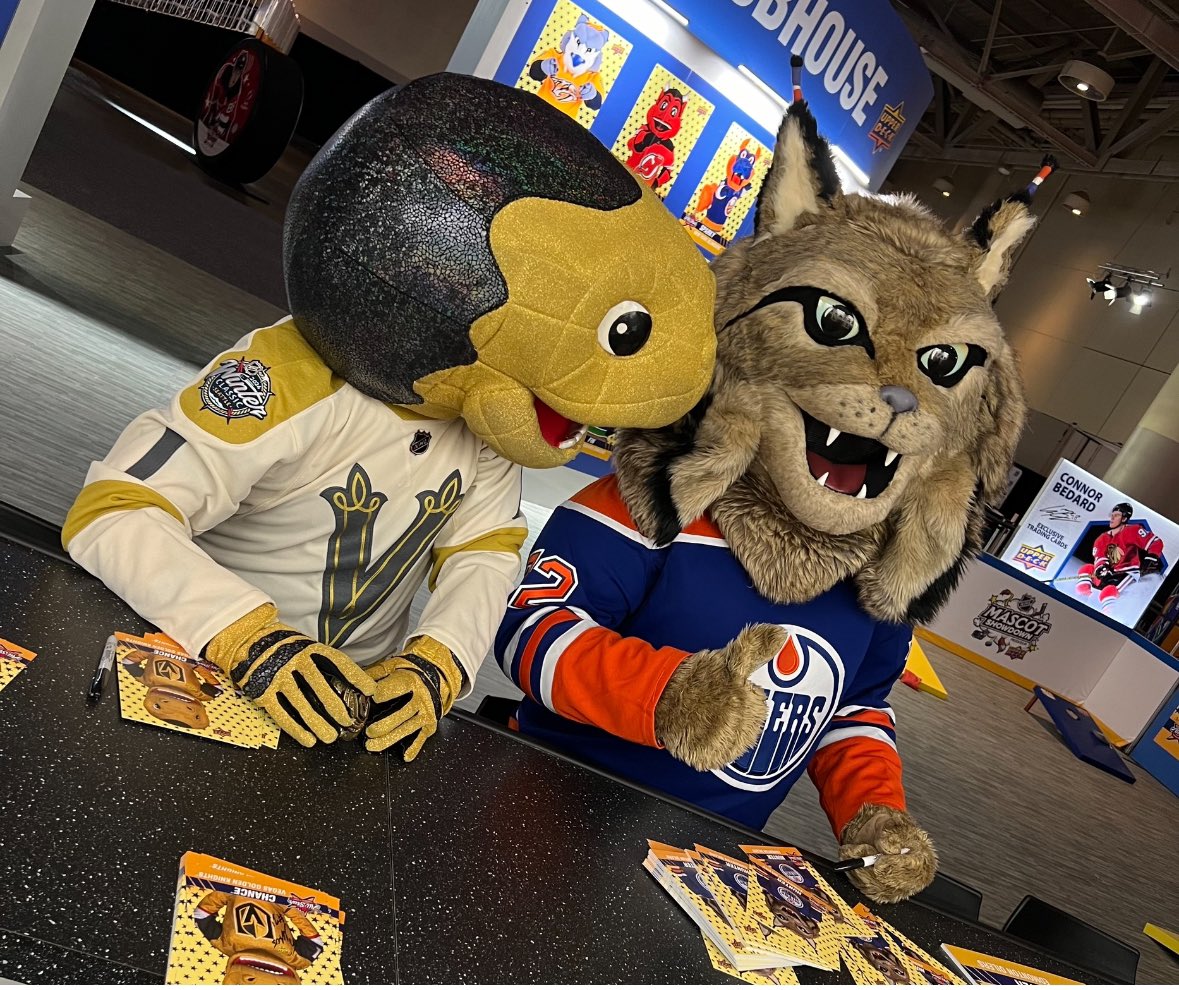 ChanceNHL's tweet photo. *whispers softly* 
16 AND 1.  😏
#MascotShade #VictoryIsOurs https://t.co/ZtVnJETwvr