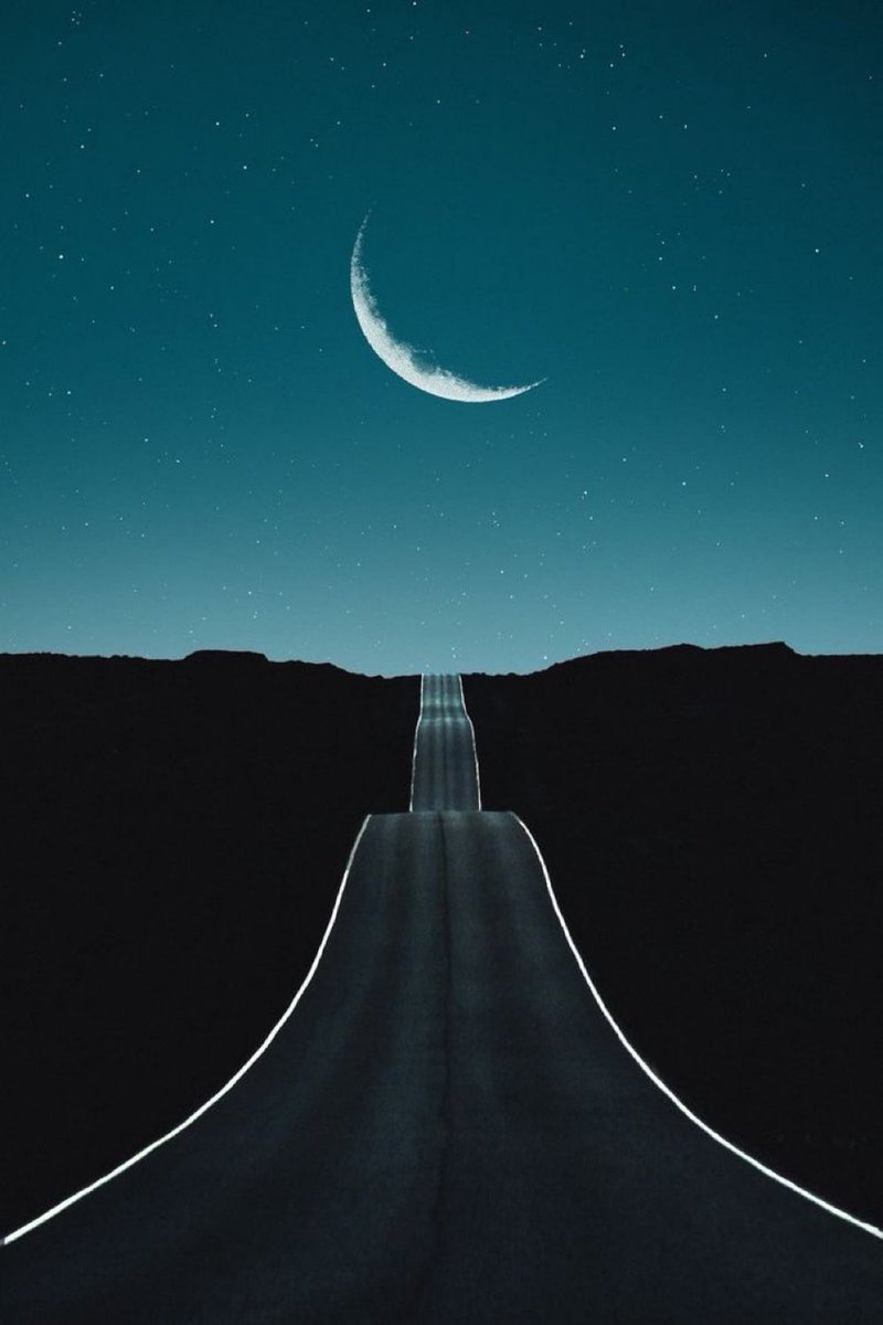 MOON LOVER tweet media