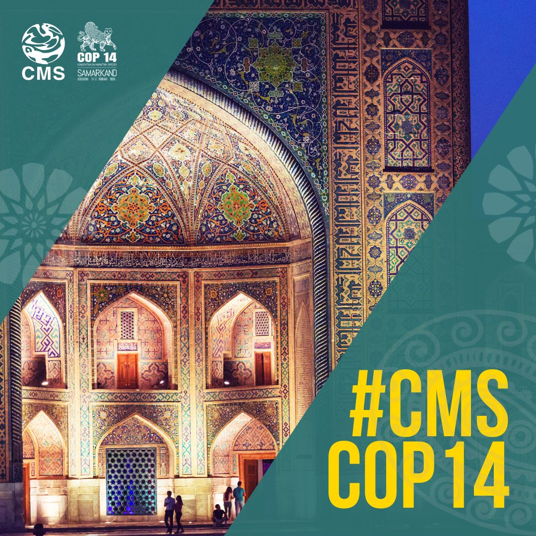 5 days to go until the start of #CMSCOP14! We wish all our delegates and participants safe travels! We and our Uzbek host are looking forward to welcoming you to Samarkand and to deciding on new conservation measures for #migratoryspecies! cms.int/cop14