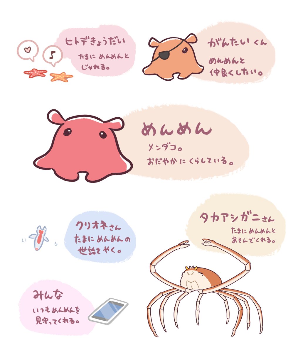 めんめんのお友達を紹介するよ🐙