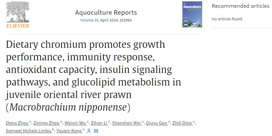 Mchele Limbu tweet media