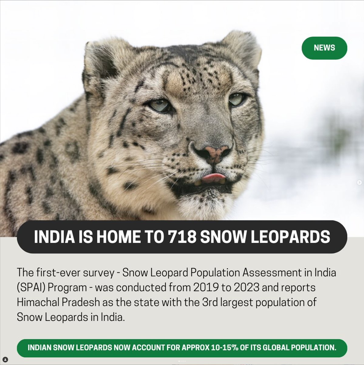 Ismail Shariff tweet media