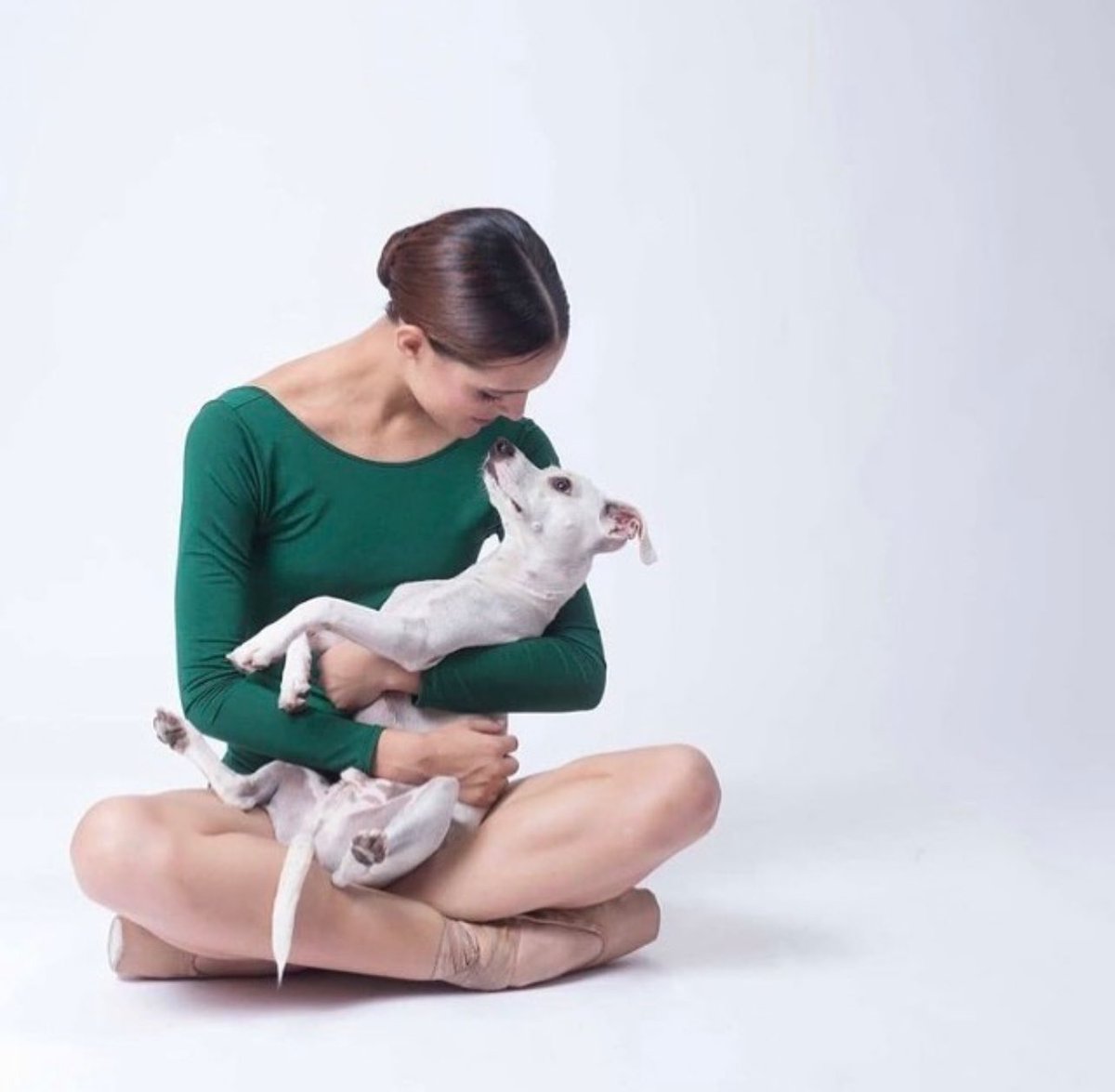 Very proud that DANCERS LOVE DOGS together with NSP will be funding this groundbreaking sterilisation project in Khayelitsha, targeting 500 female dogs between February 6th and mid-March 2024 
Photo Credit: 
Daniela Fabelo and Gnocchi
Photo Credit: @alejandragzzdelbosque