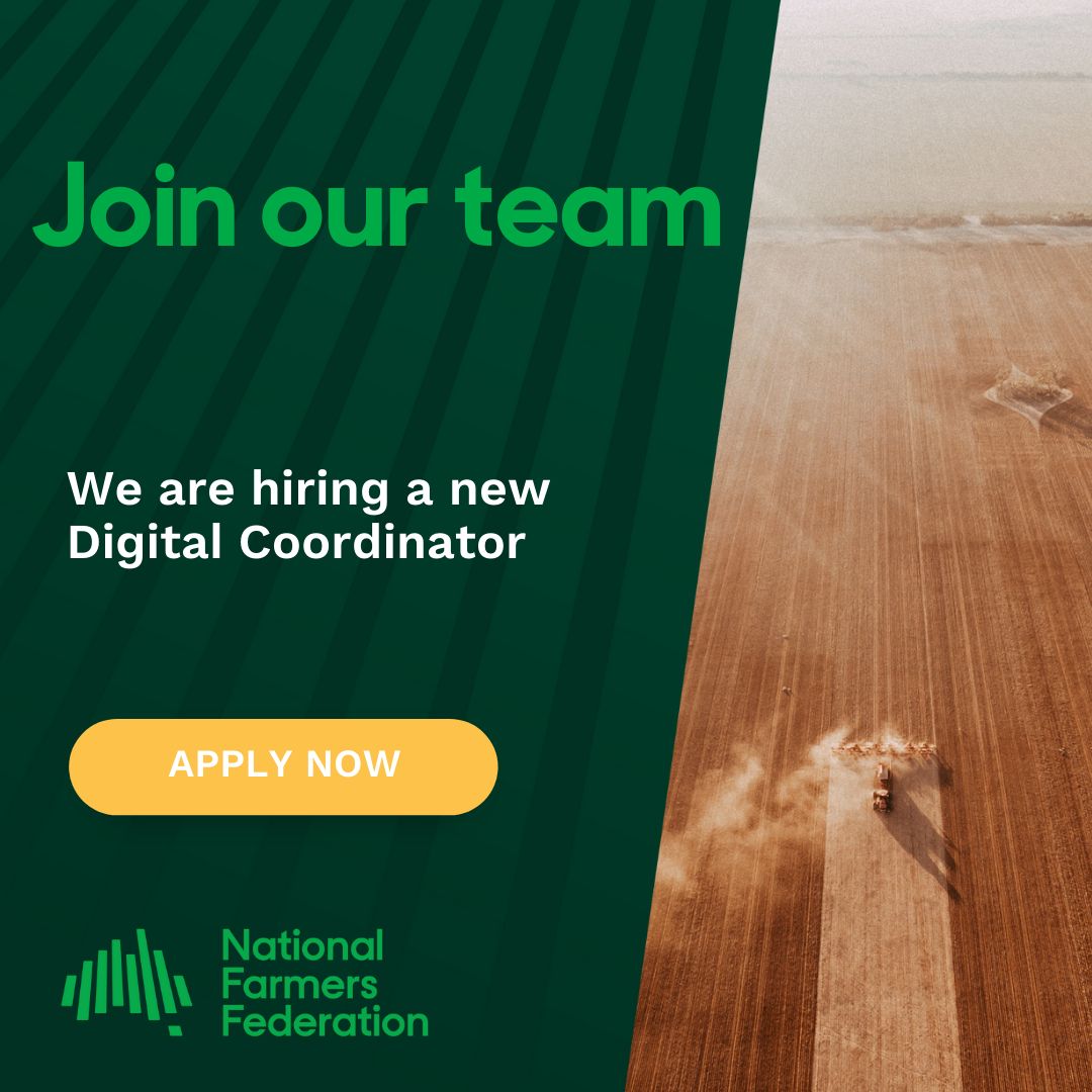We're hiring! We are on the search for a Digital Coordinator. 📱 Are you a social media whizz? 🌐 A guru with websites? 🖼️ Do you have graphic design and video editing experience? 📧 Are you ready to support our weekly e-newsletters? Learn more & apply ⬇️ bit.ly/4bsOXby