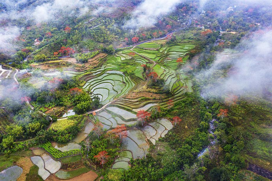 ThisisHainanGov's tweet photo. #ChinaCanvas Springtime in Changjiang Li autonomous county, South China's Hainan province, looks like a scene from a painting. #BeautifulHainan https://t.co/4HrTHzGWgF