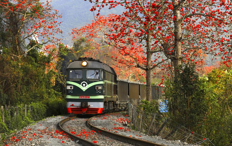 ThisisHainanGov's tweet photo. #ChinaCanvas Springtime in Changjiang Li autonomous county, South China's Hainan province, looks like a scene from a painting. #BeautifulHainan https://t.co/4HrTHzGWgF