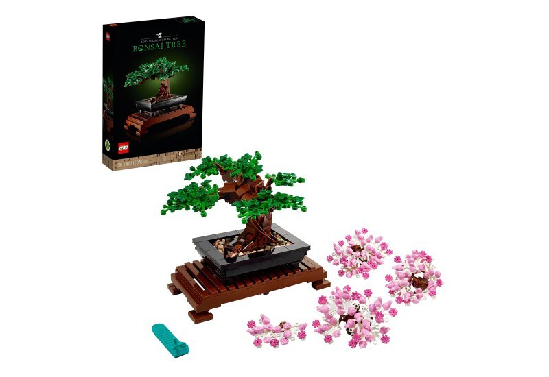 💰 Nur 34,96€  statt 49,99€

📍 LEGO Icons Bonsai Baum, Kunstpflanzen-Set zum Basteln für Erwachsene, Zimmerdeko, Geschenk zum Valentinstag für Frauen und Männer, Sie und Ihn, Botanik-Kollektion, Blumen-Deko 10281

17,610 Bewertungen: 4.8 / 5.0 ⭐️⭐… amazon.de/dp/B08G4PCG8F/…