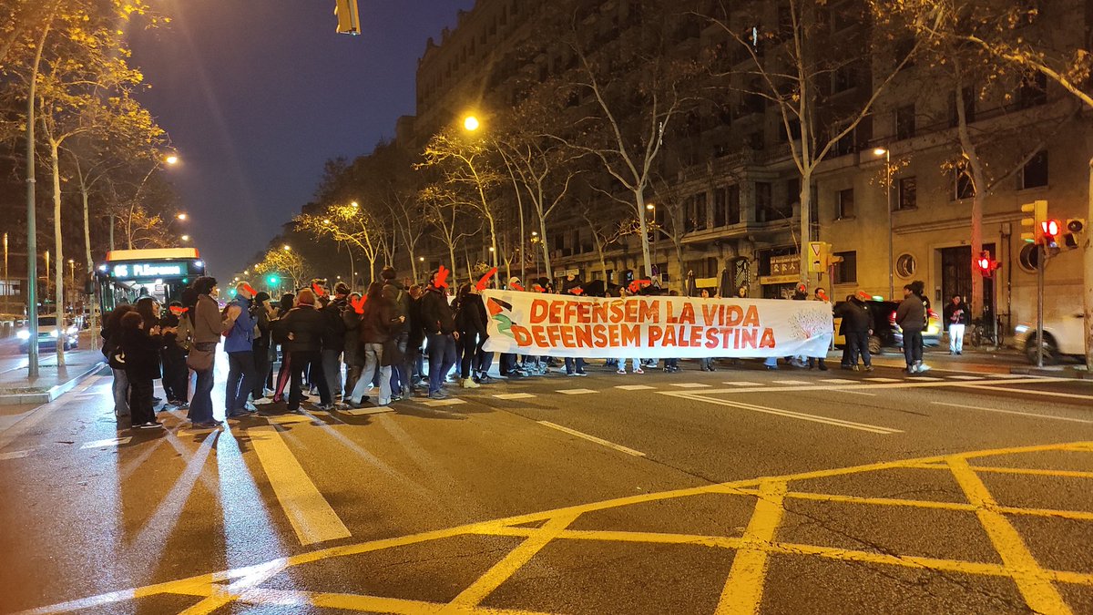 La Gran Via aturada.

Avui aturem el món en solidaritat amb #Palestina. 

Fins que s'aturi el genocidi i fins que Palestina sigui lliure. #Gaza no estàs sola.
