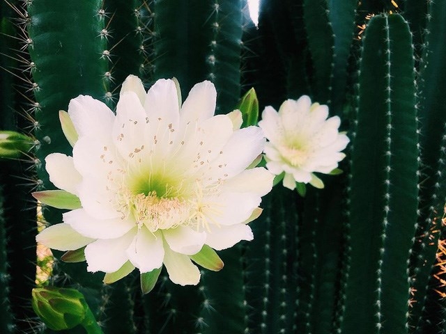 DongSung tweet media